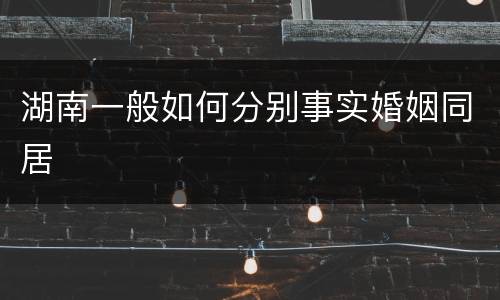 湖南一般如何分别事实婚姻同居