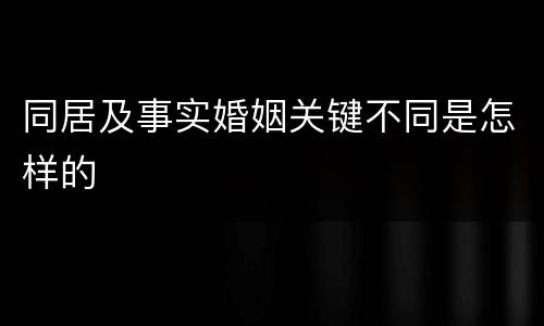 同居及事实婚姻关键不同是怎样的