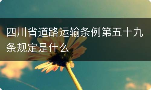 四川省道路运输条例第五十九条规定是什么