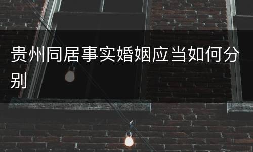 贵州同居事实婚姻应当如何分别