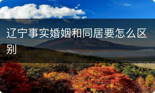 辽宁事实婚姻和同居要怎么区别