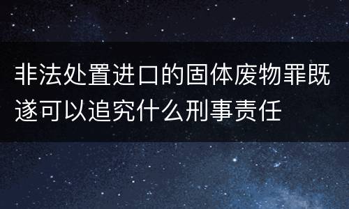 非法处置进口的固体废物罪既遂可以追究什么刑事责任