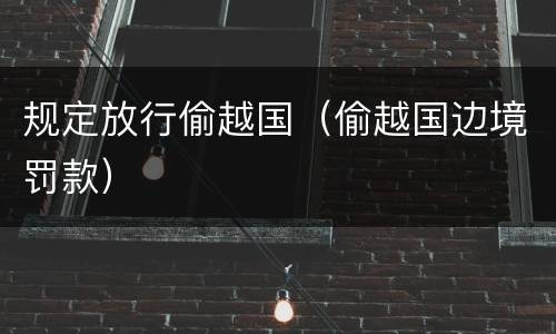 规定放行偷越国（偷越国边境罚款）
