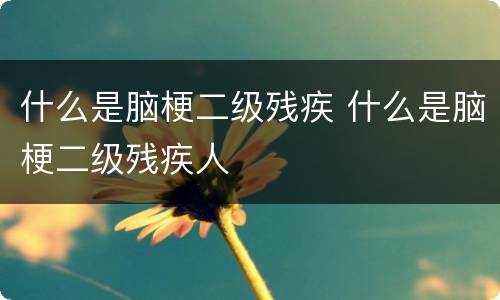 什么是脑梗二级残疾 什么是脑梗二级残疾人