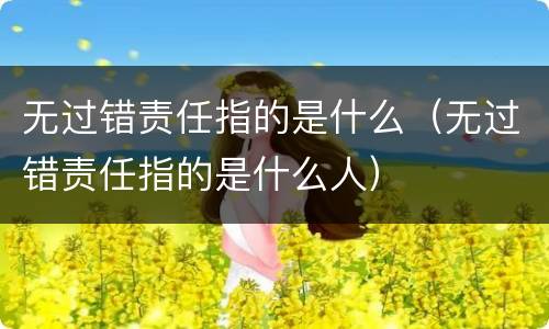 无过错责任指的是什么（无过错责任指的是什么人）