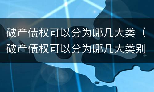破产债权可以分为哪几大类（破产债权可以分为哪几大类别）