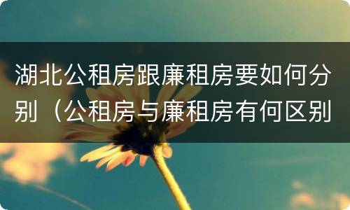 湖北公租房跟廉租房要如何分别（公租房与廉租房有何区别）