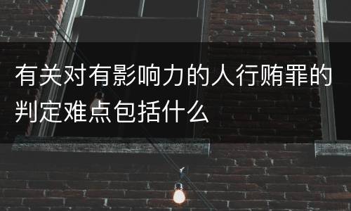 有关对有影响力的人行贿罪的判定难点包括什么