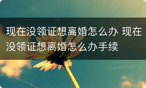 现在没领证想离婚怎么办 现在没领证想离婚怎么办手续