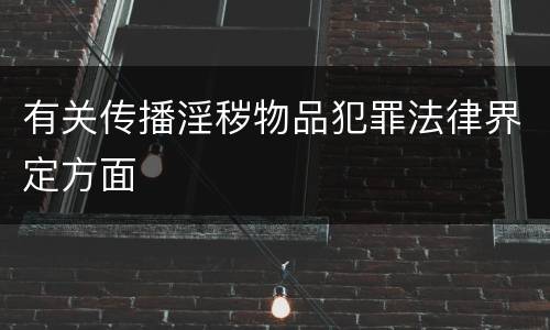 有关传播淫秽物品犯罪法律界定方面