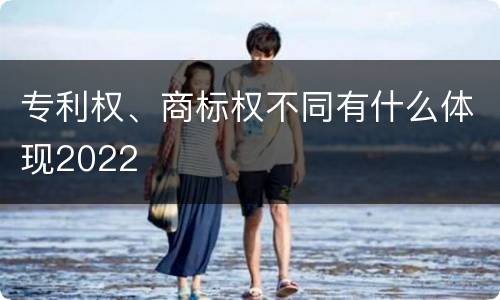 专利权、商标权不同有什么体现2022