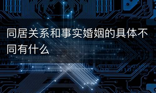 同居关系和事实婚姻的具体不同有什么