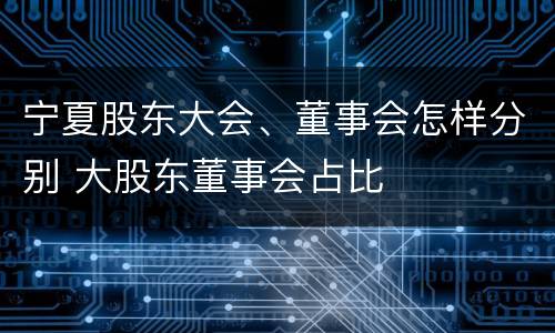 宁夏股东大会、董事会怎样分别 大股东董事会占比