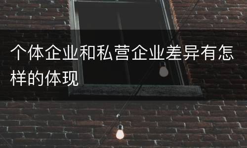 个体企业和私营企业差异有怎样的体现