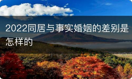 2022同居与事实婚姻的差别是怎样的