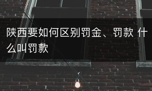 陕西要如何区别罚金、罚款 什么叫罚款