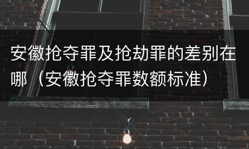 安徽抢夺罪及抢劫罪的差别在哪（安徽抢夺罪数额标准）