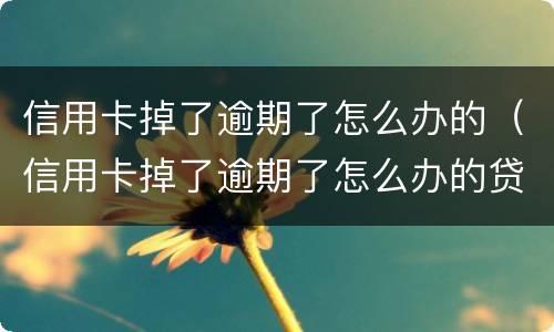 信用卡掉了逾期了怎么办的（信用卡掉了逾期了怎么办的贷款）
