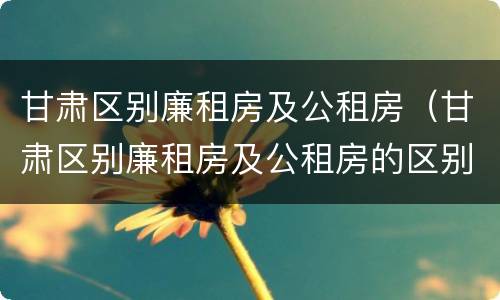 甘肃区别廉租房及公租房（甘肃区别廉租房及公租房的区别）