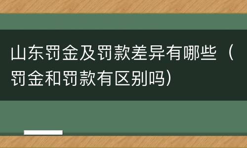 山东罚金及罚款差异有哪些（罚金和罚款有区别吗）