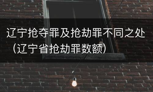 辽宁抢夺罪及抢劫罪不同之处（辽宁省抢劫罪数额）