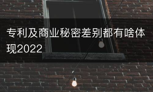 专利及商业秘密差别都有啥体现2022