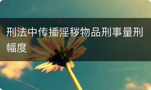 刑法中传播淫秽物品刑事量刑幅度