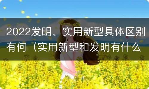 2022发明、实用新型具体区别有何（实用新型和发明有什么区别）