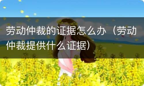 劳动仲裁的证据怎么办（劳动仲裁提供什么证据）