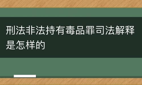 刑法非法持有毒品罪司法解释是怎样的