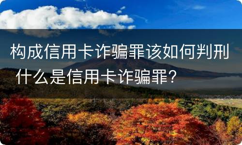 构成信用卡诈骗罪该如何判刑 什么是信用卡诈骗罪?