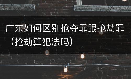 广东如何区别抢夺罪跟抢劫罪（抢劫算犯法吗）