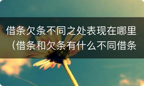 借条欠条不同之处表现在哪里（借条和欠条有什么不同借条书写）