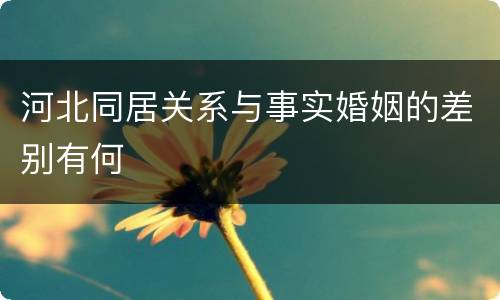 河北同居关系与事实婚姻的差别有何