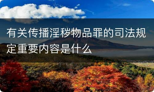 有关传播淫秽物品罪的司法规定重要内容是什么