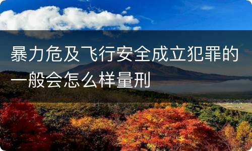 暴力危及飞行安全成立犯罪的一般会怎么样量刑