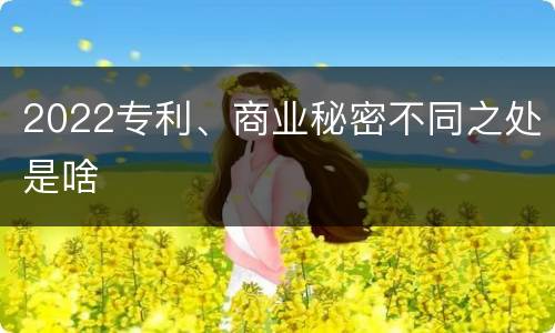 2022专利、商业秘密不同之处是啥