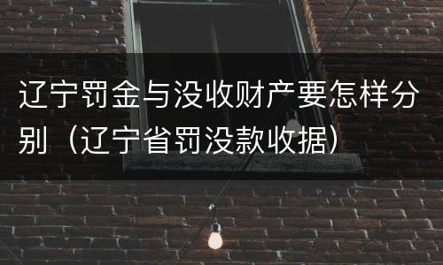 辽宁罚金与没收财产要怎样分别（辽宁省罚没款收据）