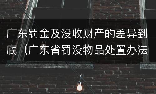 广东罚金及没收财产的差异到底（广东省罚没物品处置办法）