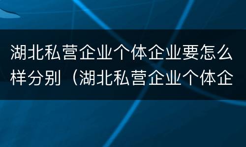 湖北私营企业个体企业要怎么样分别（湖北私营企业个体企业要怎么样分别交税）