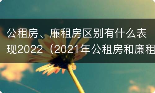 公租房、廉租房区别有什么表现2022（2021年公租房和廉租房有什么区别）
