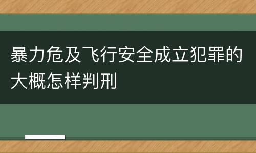 暴力危及飞行安全成立犯罪的大概怎样判刑