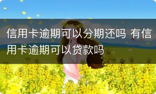 信用卡逾期可以分期还吗 有信用卡逾期可以贷款吗