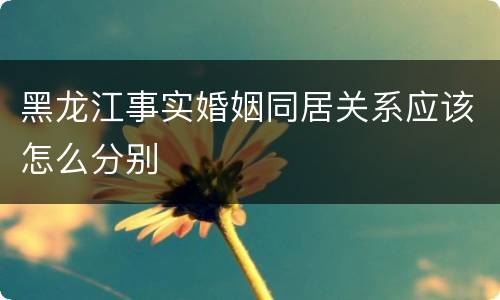 黑龙江事实婚姻同居关系应该怎么分别