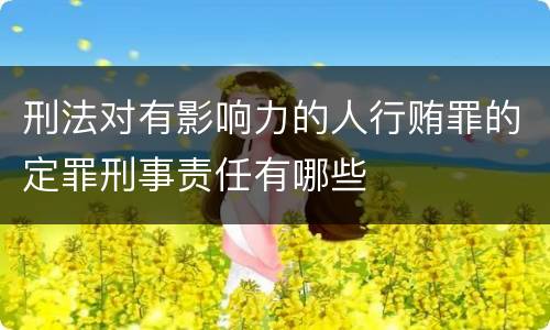 刑法对有影响力的人行贿罪的定罪刑事责任有哪些