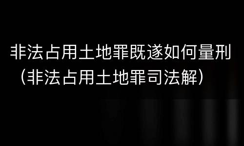 非法占用土地罪既遂如何量刑（非法占用土地罪司法解）