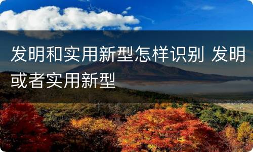 发明和实用新型怎样识别 发明或者实用新型