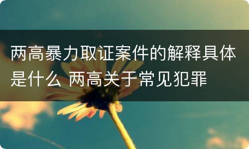两高暴力取证案件的解释具体是什么 两高关于常见犯罪
