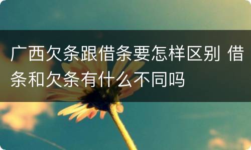 广西欠条跟借条要怎样区别 借条和欠条有什么不同吗