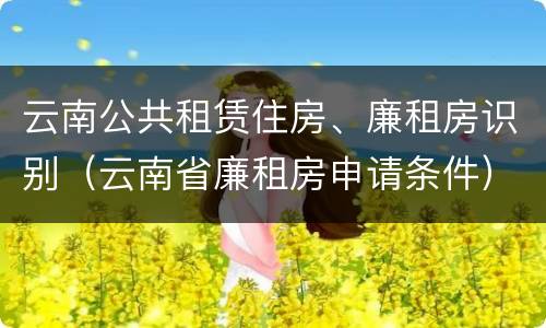 云南公共租赁住房、廉租房识别（云南省廉租房申请条件）